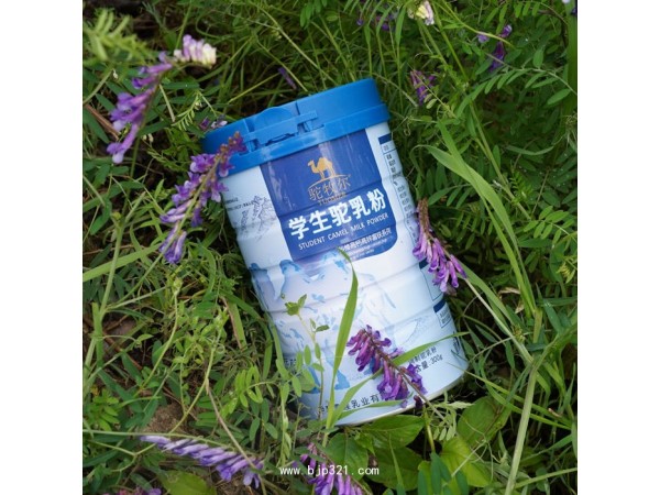 伊犁雪蓮乳業(yè)駱駝奶粉廠家直供招代理