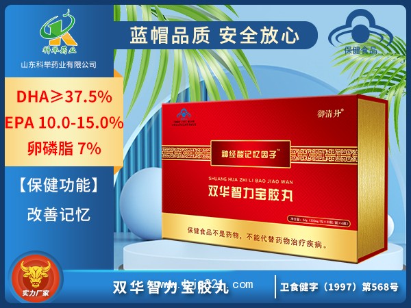 雙華智力寶膠丸