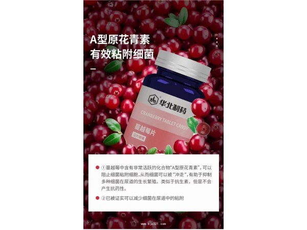 華北制藥蔓越莓片