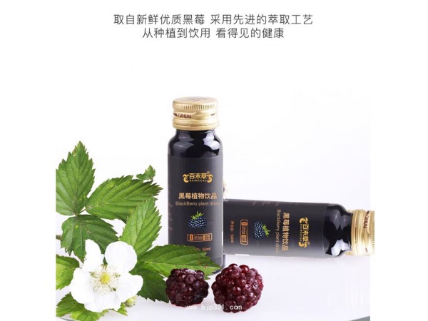 云南黑莓植物飲品定制代加工