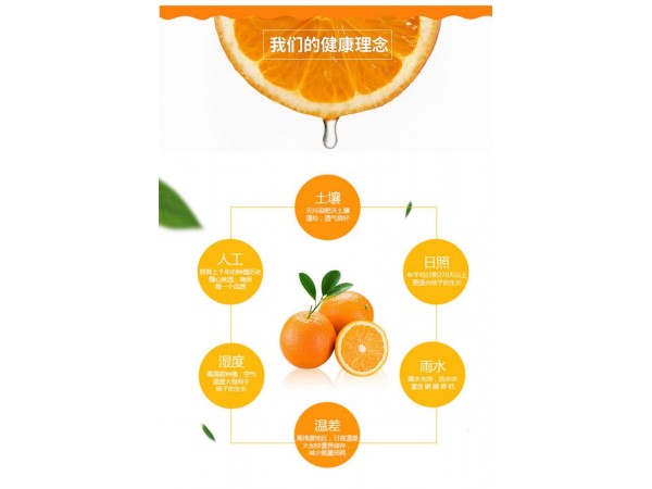 陜西維生素C泡騰片定制代加工