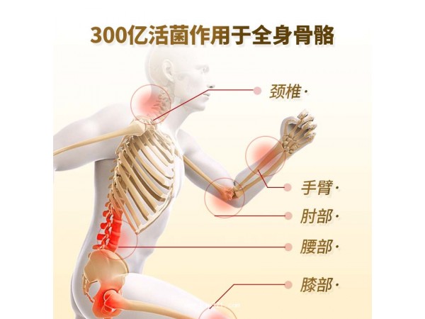固奇益骨關(guān)節(jié)益生菌