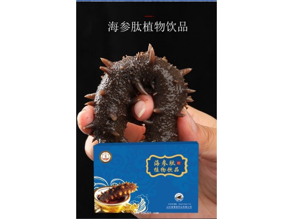 海參肽植物飲品定制代加工