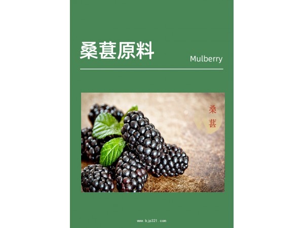 桑葚酵素植物飲品定制代加工