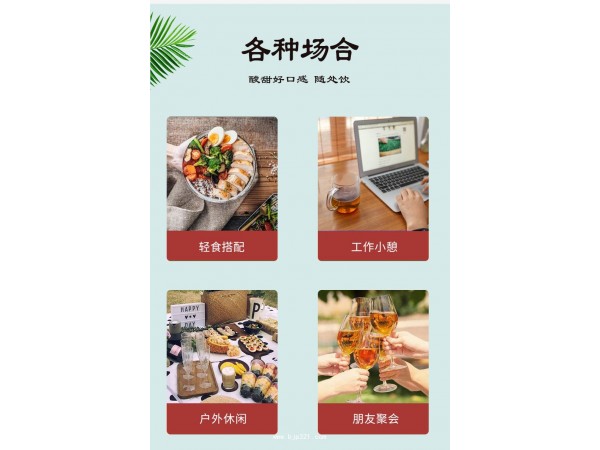 陳皮蜜醋植物飲料定制代加工