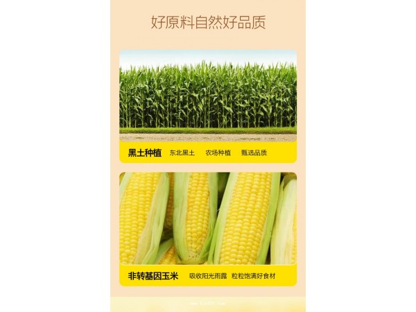 江西玉米汁植物飲料定制代加工