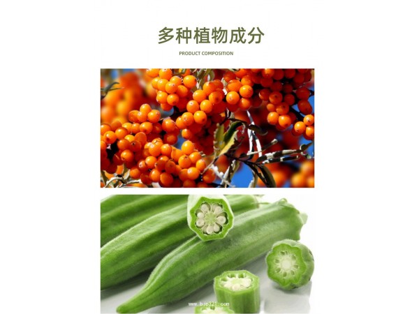 秋沙精植物飲品定制代加工
