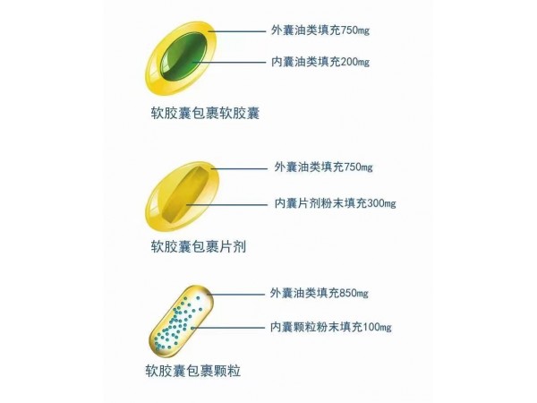 奇枳薊康囊中囊