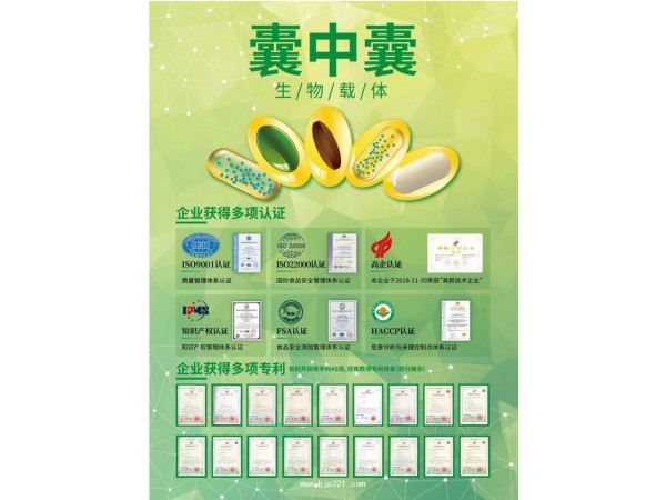 DHA藻油多種維生素