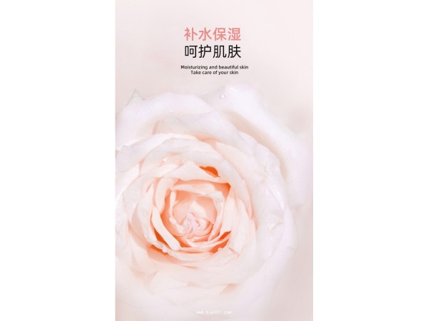 玫瑰純露300ml貼牌定制廠家