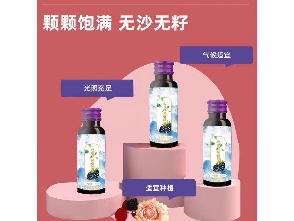 玫瑰花桑葚酵素飲品OEM貼牌定制源頭廠家