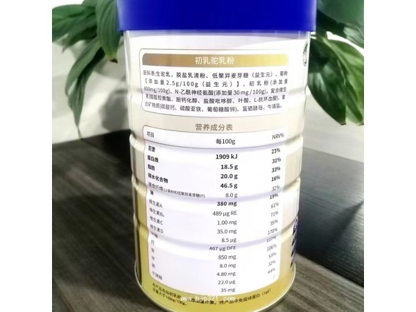 駱駝初乳駝乳粉 新疆雪蓮