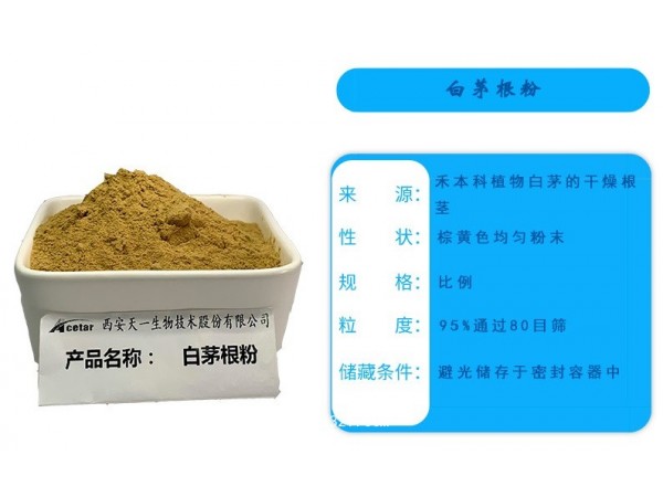 白茅根粉、白茅根提取物