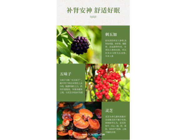 刺五加五味子靈芝軟膠囊