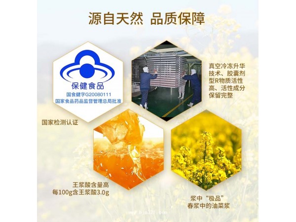 君健生牌蜂王漿膠囊