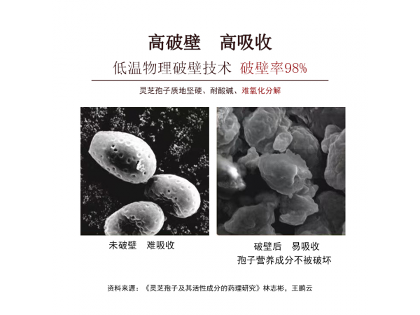 破壁靈芝孢子粉