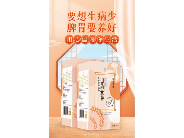 山藥麥芽發(fā)酵飲品