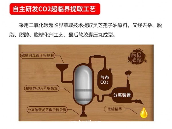 靈芝孢子油軟膠囊