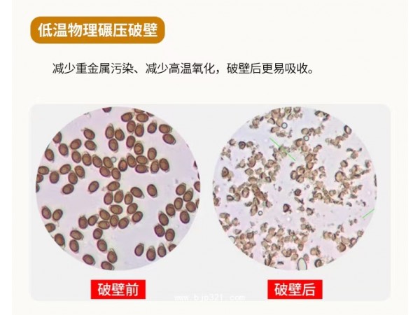 破壁靈芝孢子粉