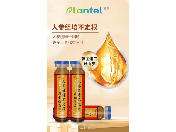 人參組培不定根植物飲品（人參干細胞）