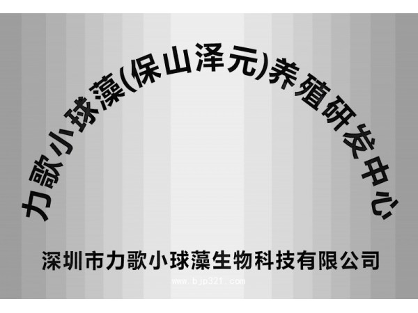 提供裸藻片加工