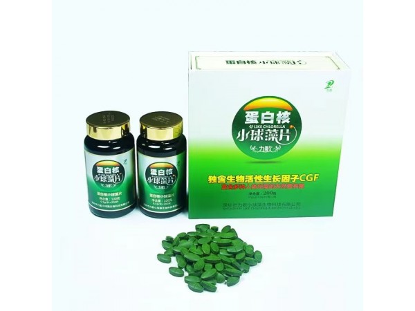 蛋白核小球藻片