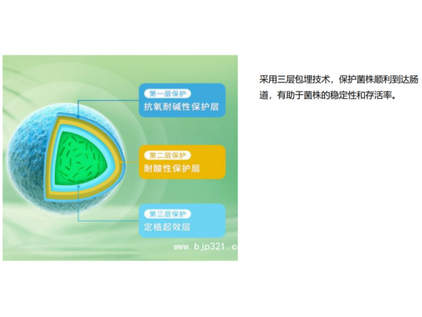 康養(yǎng)能-復(fù)合益生菌粉