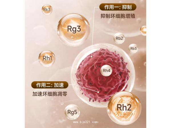 稀有人參稀有皂苷