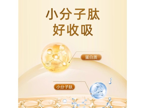 白蛋白肽飲液