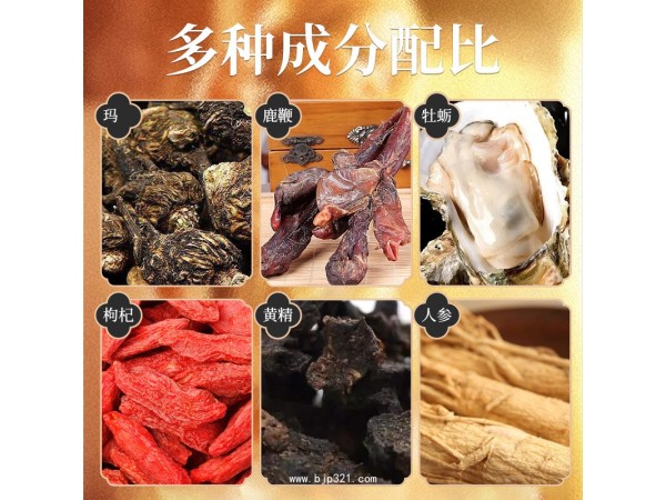 鎖陽威哥 瑪咖枸杞鹿鞭人參牡蠣片