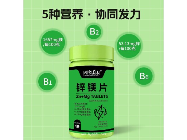 鋅鎂片
