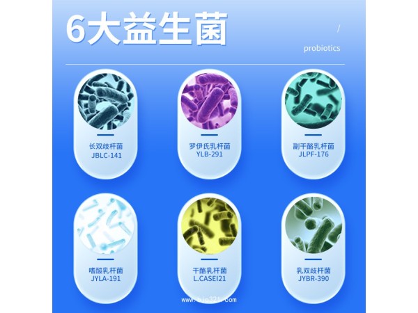 益生菌凍干粉固體飲料
