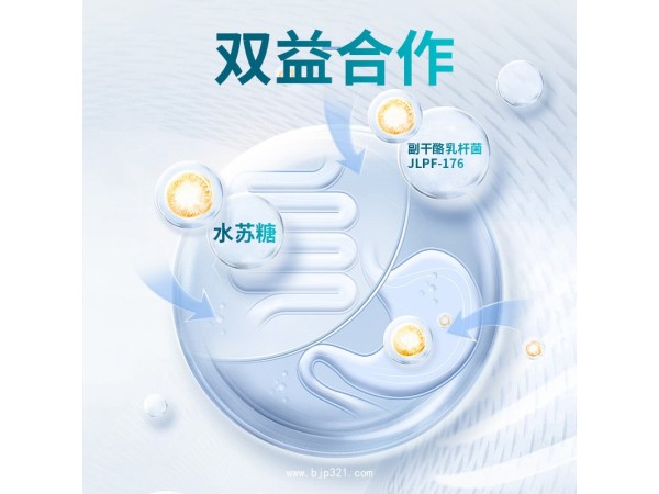 幽門桿菌片
