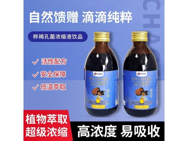 白樺茸濃縮液 樺樹茸濃縮液 貼牌定制加工OEM