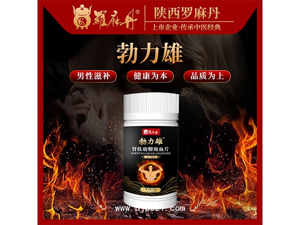 勃力雄 腎肽鹿鞭鹿血片