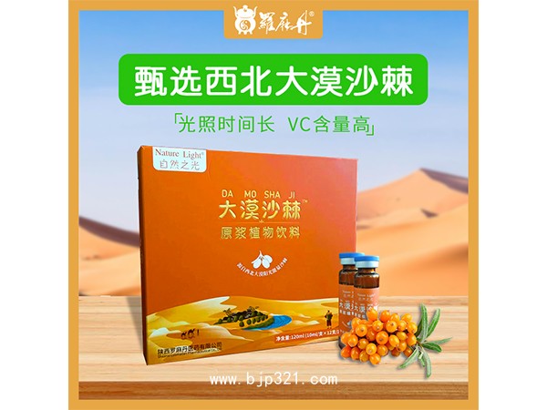大漠沙棘