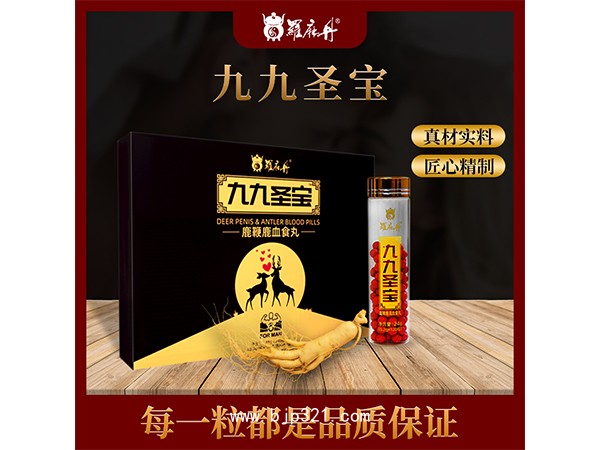 九九圣寶