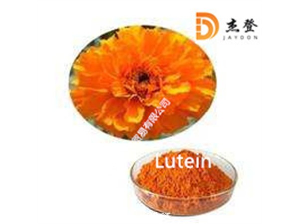 葉黃素酯油粉20%萬壽菊提取物護眼防近視