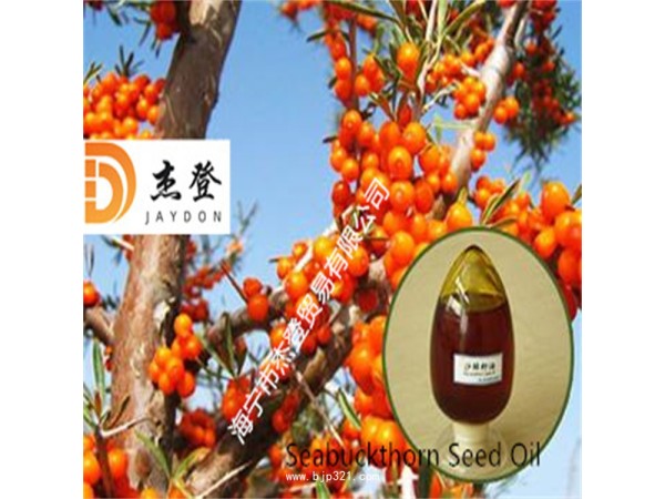 沙棘籽油沙棘果油沙棘油