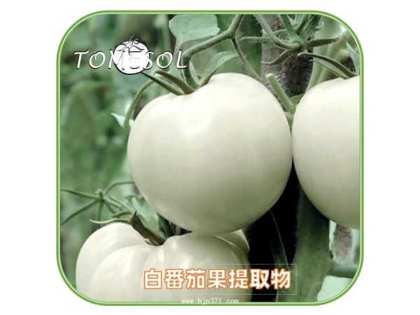 TOMESORAL 白番茄濃縮粉
