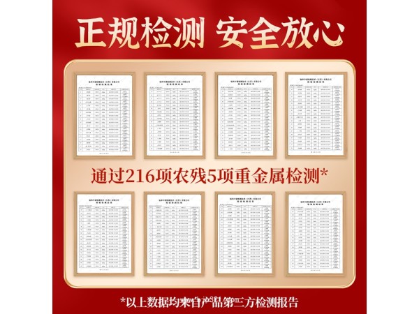 九港集團(tuán)鮮人參原漿人參口服液貼牌定制
