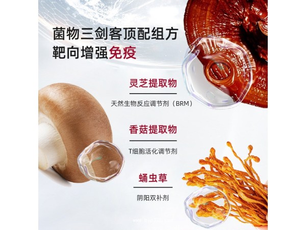 芝菌健靈芝蛹蟲草香菇膠囊
