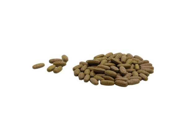 （有報關(guān)單）原料廠家供應(yīng) 高倍濃縮牛樟芝壓片糖果臺灣 可經(jīng)銷代