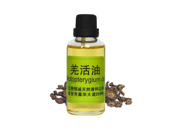 GMP/SC認(rèn)證廠家直接供應(yīng)含量99%以上的 羌活油 羌活精油