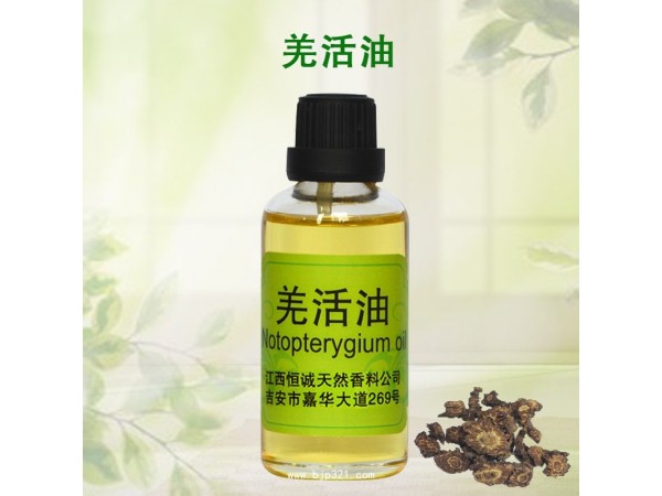 GMP/SC認(rèn)證廠家直接供應(yīng)含量99%以上的 羌活油 羌活精油