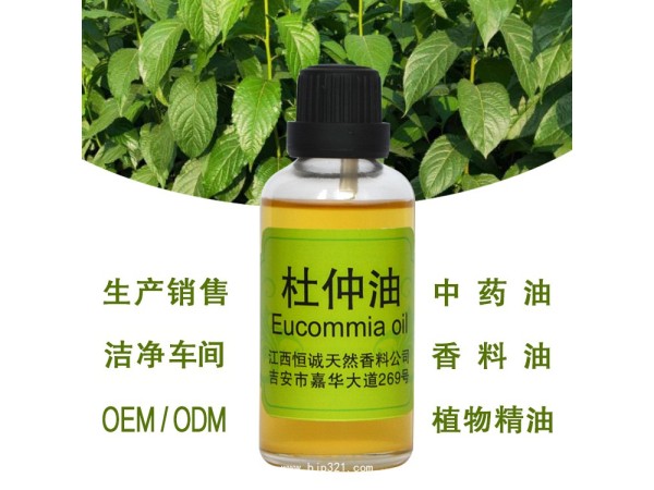 GMP/SC認(rèn)證廠家直接供應(yīng)杜仲油 杜仲籽油 植物精油 香料油