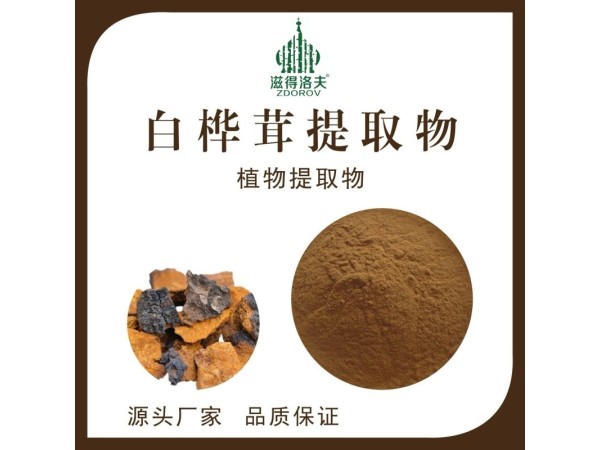 白樺茸粉 白樺茸提取物多糖30%-50%