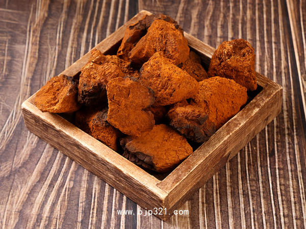 樺褐孔菌中藥飲片 白樺茸 樺樹茸 俄羅斯西伯利亞原料