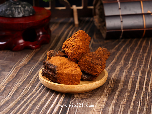 樺褐孔菌中藥飲片 白樺茸 樺樹茸 俄羅斯西伯利亞原料