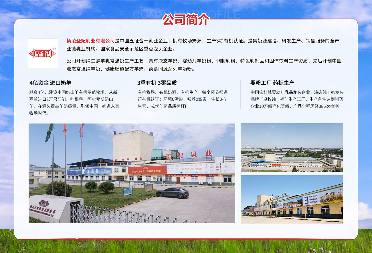 圣妃.jpg